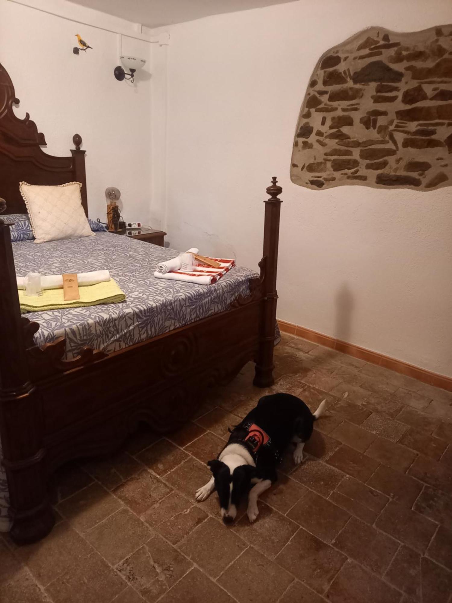 Hostal Rural Mas Blanc San Martín de Centellas Eksteriør bilde