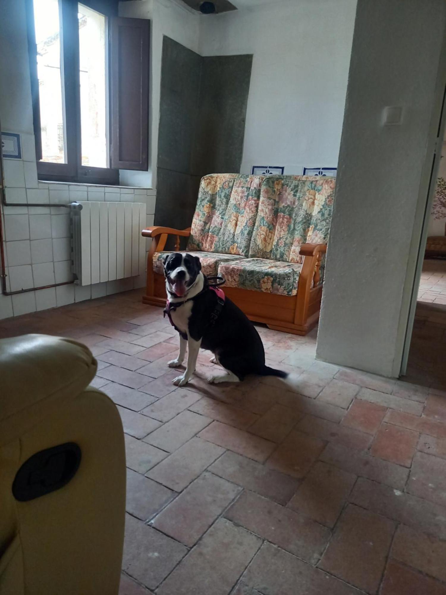 Hostal Rural Mas Blanc San Martín de Centellas Eksteriør bilde